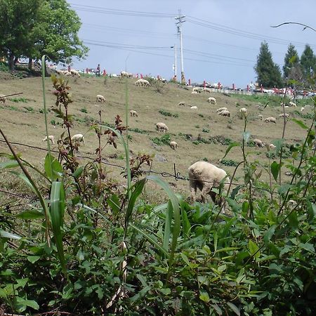 Villa Winlu Vacation Farm Renai Exterior foto